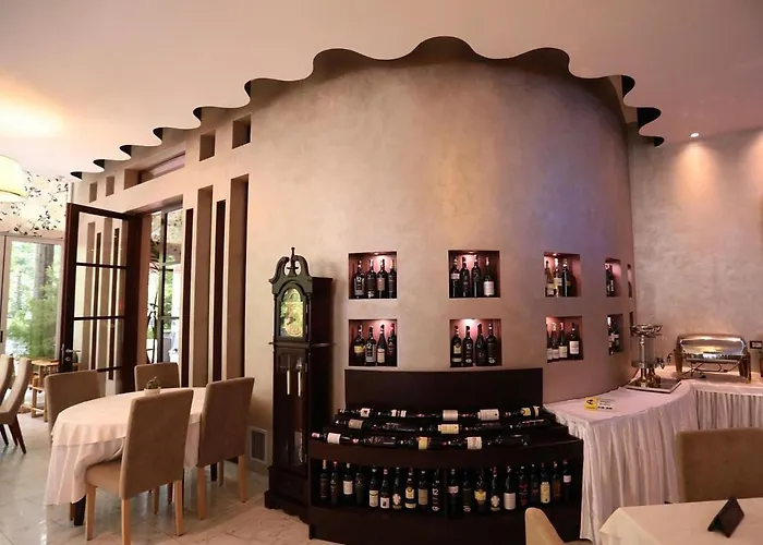 Hotell Driloni 4*